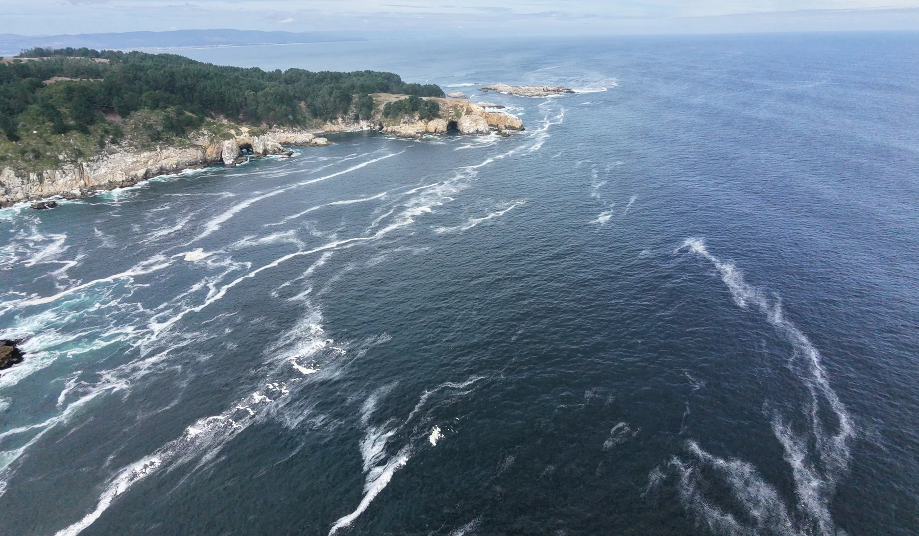 Ambiente marino y costero